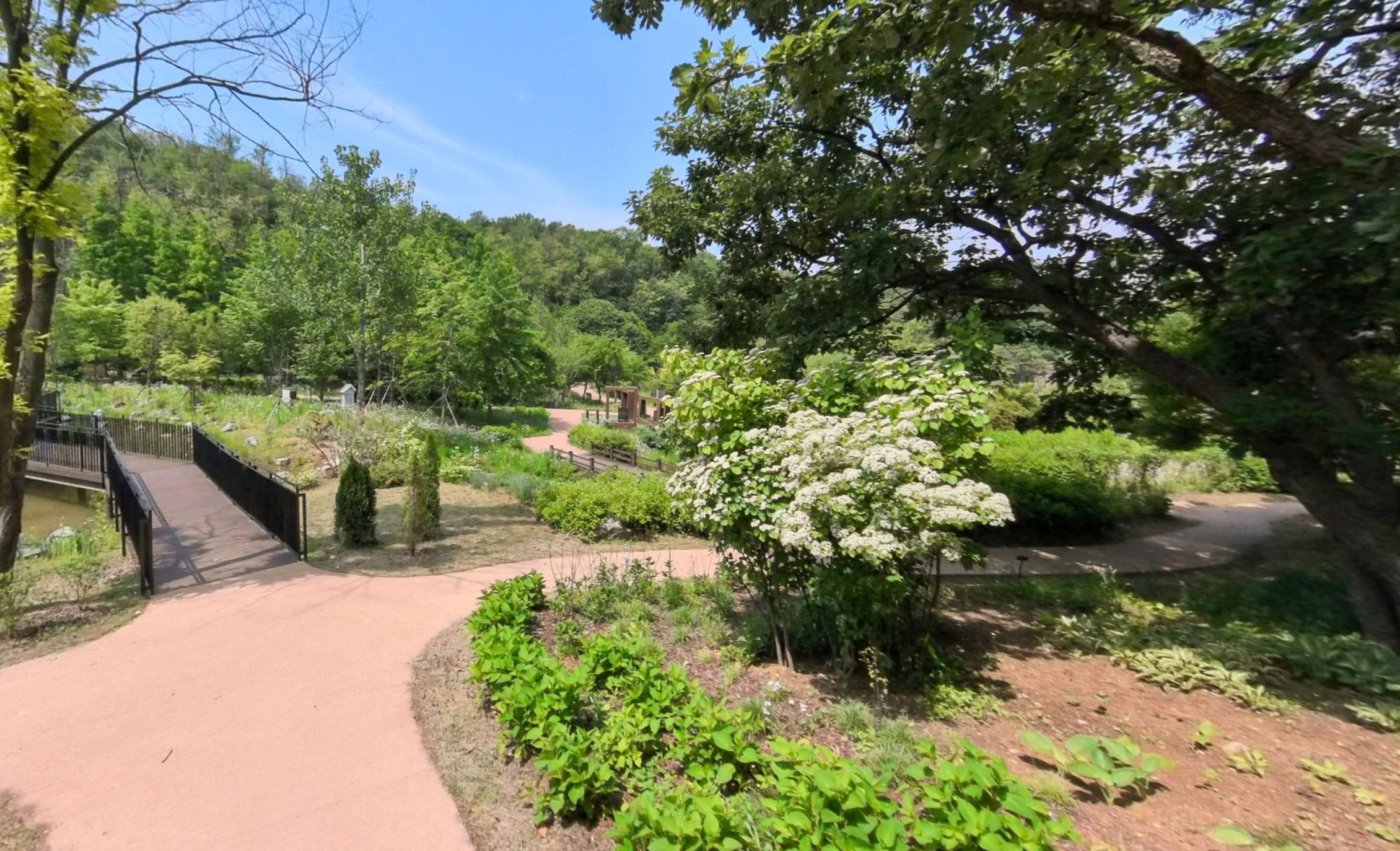 무릉도원수목원